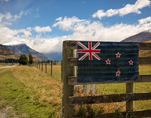 Immigration and Legal Consulting